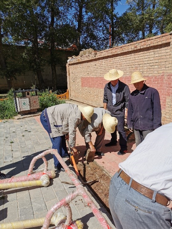 1565164885116217.jpg 6.jpg