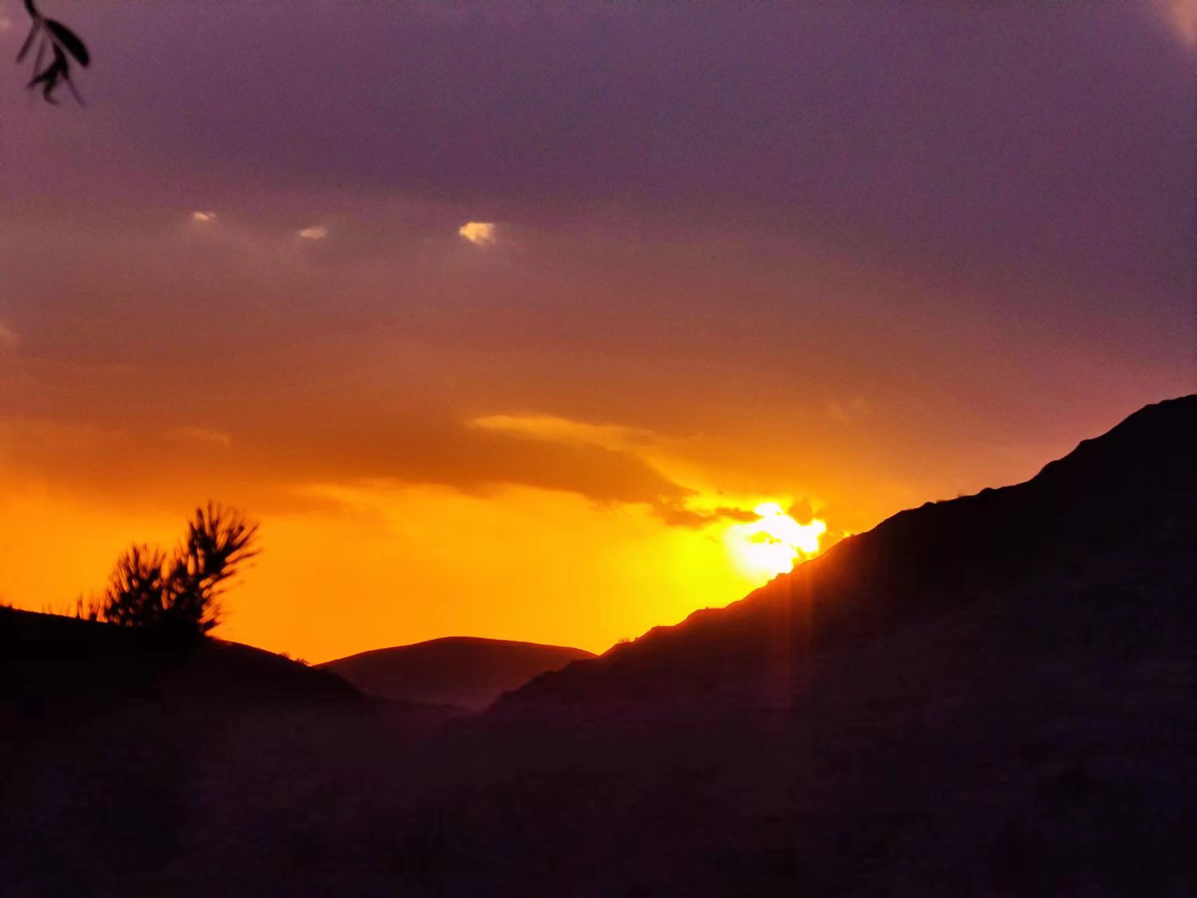 1690274795764272.jpg 43cc8f66e01a8d3cdbc8cb84d78e445.jpg